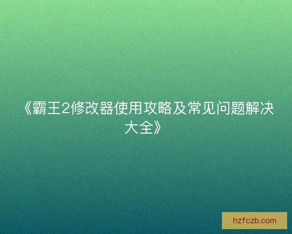 《霸王2修改器使用攻略及常见问题解决大全》